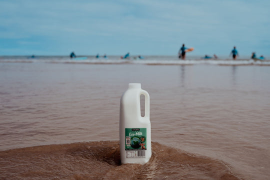 Ashgrove and Sea Forest collaborate to launch world's first low-emission milk