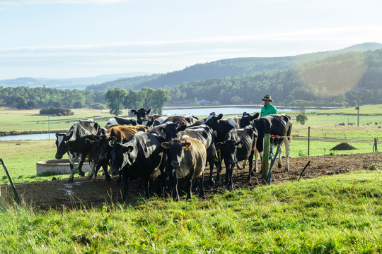 #ThankaFarmer for milk that’s making a difference