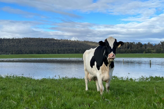 La Niña pays a visit to Northern Tasmania